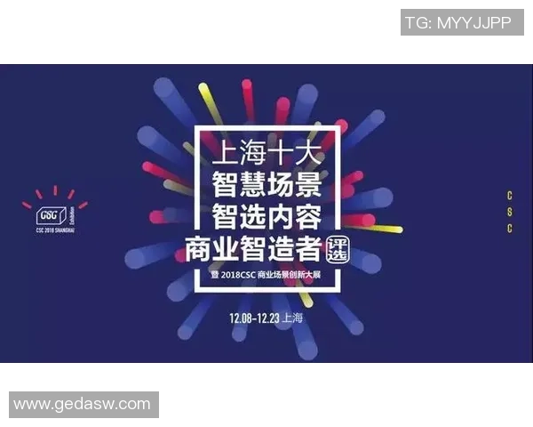 南京滑板队运营分析：成功经验与挑战反思的深度探讨